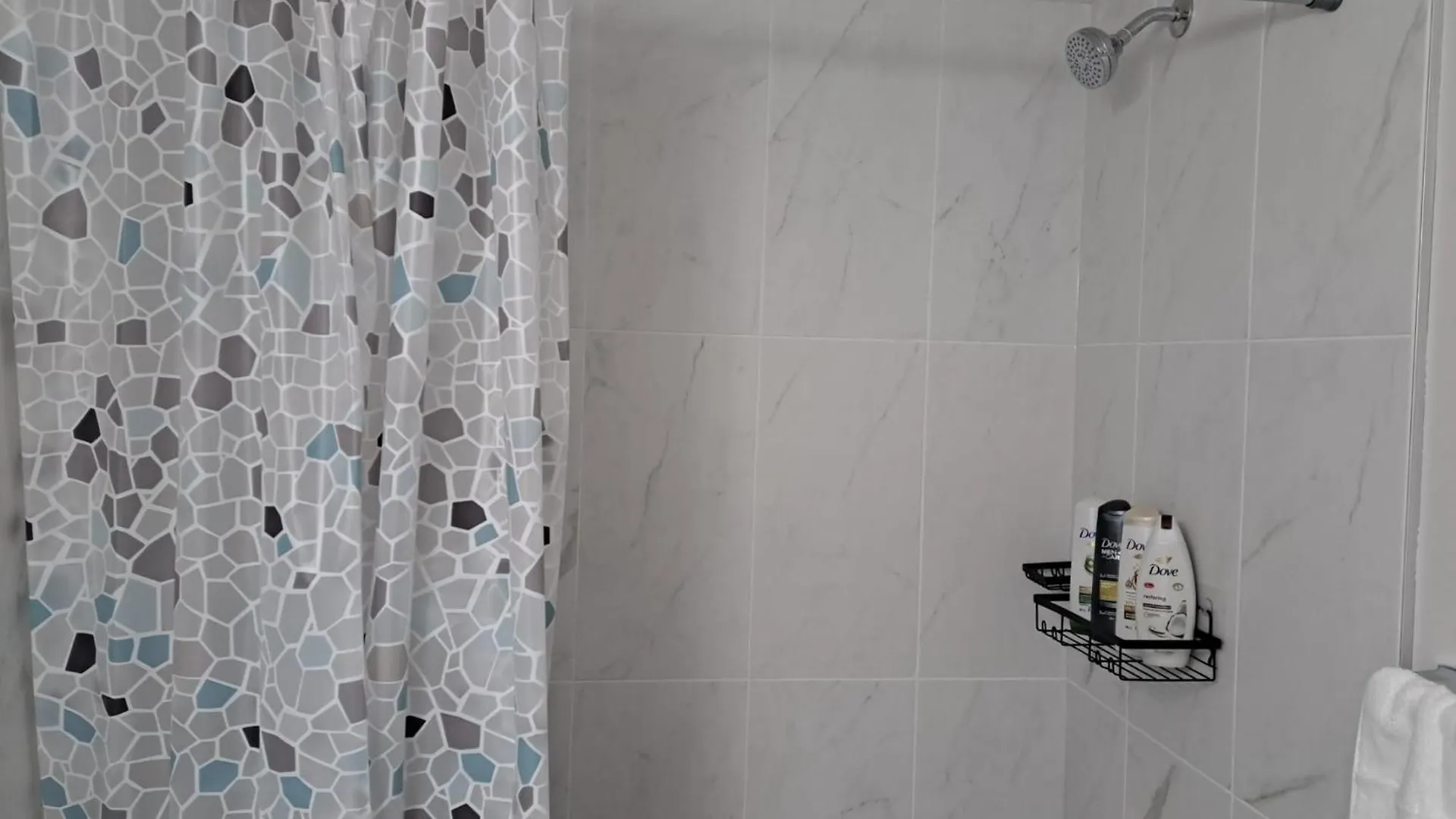 公寓 Cozy 2 Bedroom Walkout Basement 卡加利 加拿大