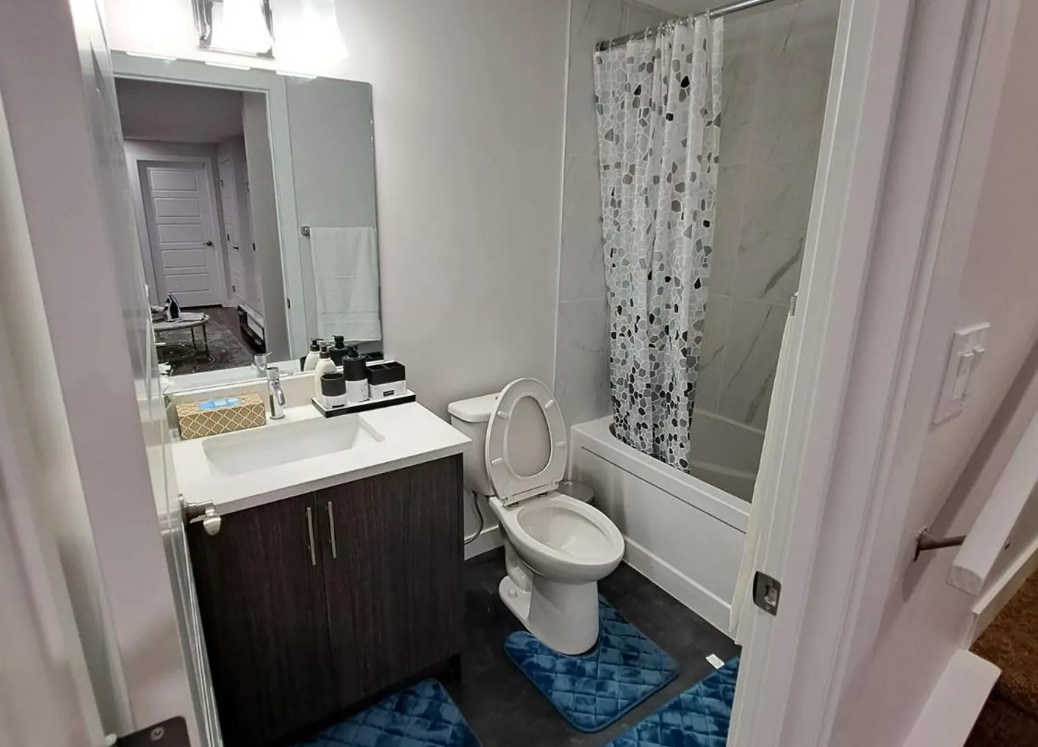 Cozy 2 Bedroom Walkout Basement 卡加利